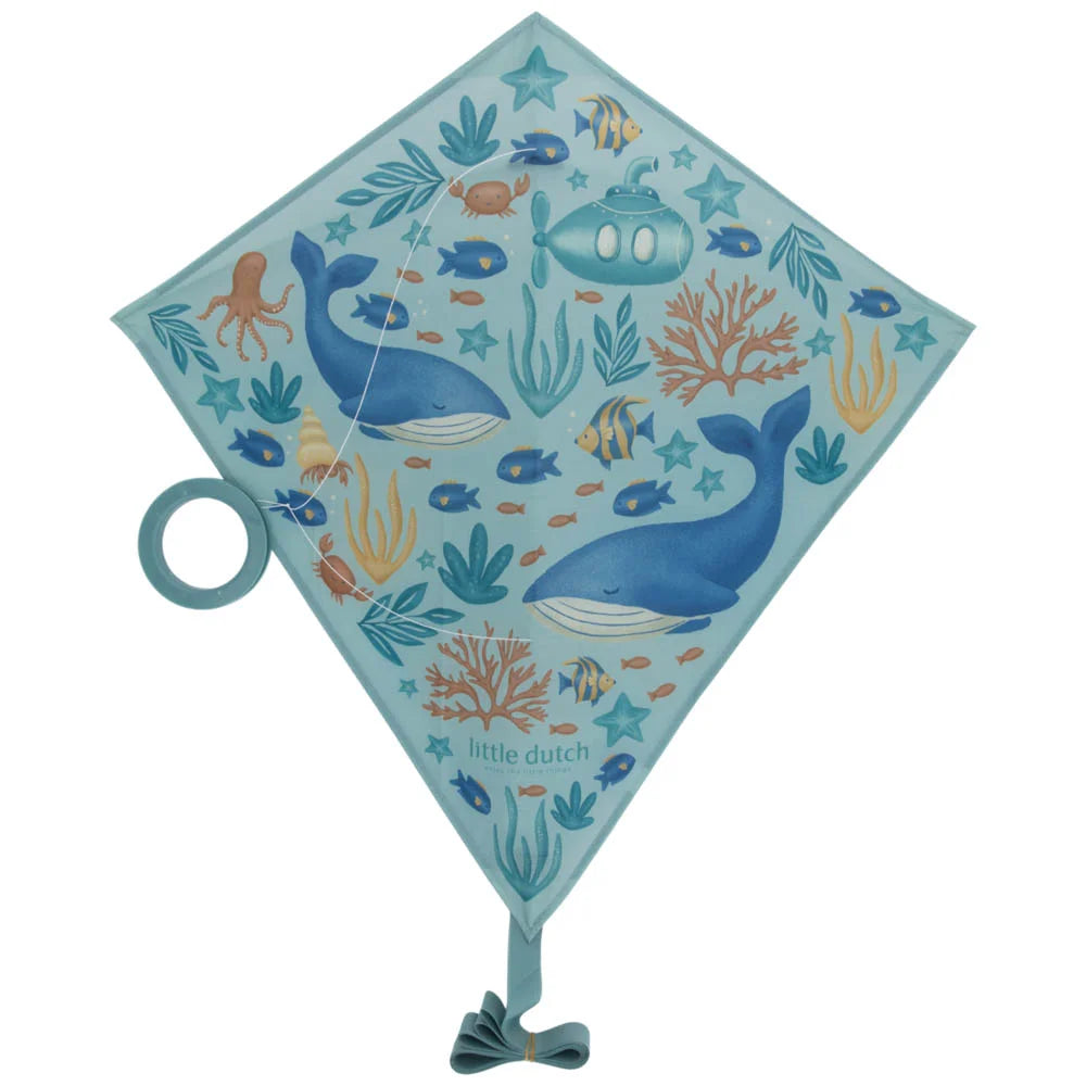 Papagaio Diamante Ocean World