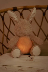 Cuddle Bunny Light & Sound