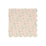 Guardanapos Disty (Grandes)