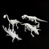 Kit de esqueleto de dinossauros (brilha no escuro)