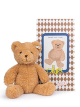 Teddy Bear in Gift Box