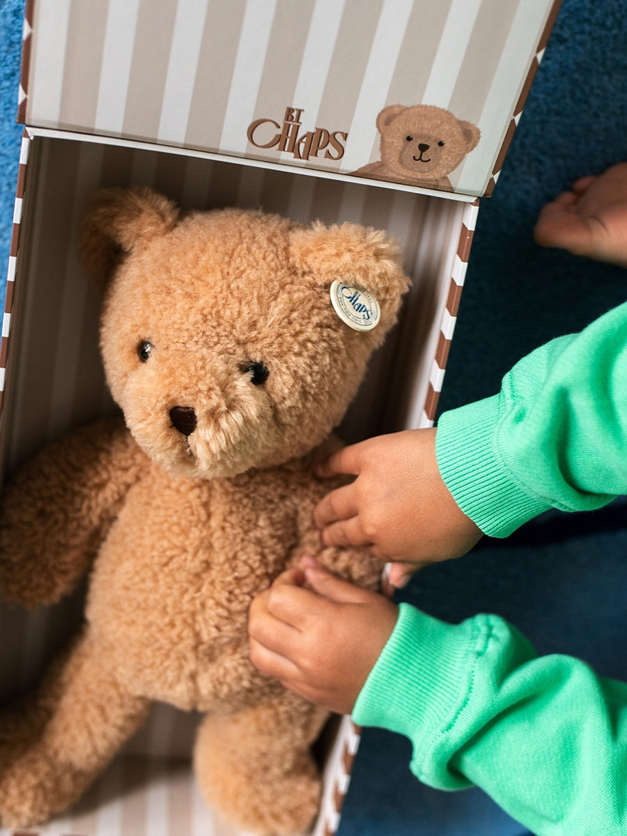Teddy Bear in Gift Box