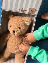 Teddy Bear in Gift Box