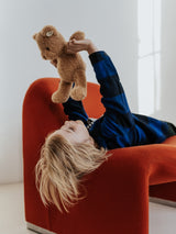 Teddy Bear in Gift Box