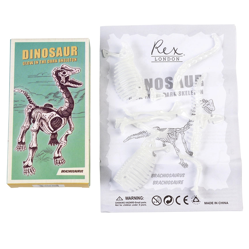 Kit de esqueleto de dinossauros (brilha no escuro)