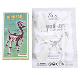 Kit de esqueleto de dinossauros (brilha no escuro)