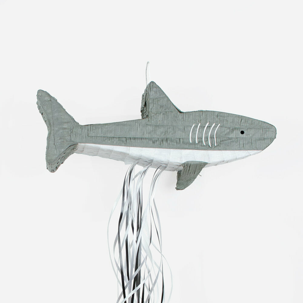 Pinhata Tubarão Cinzento