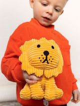 Terry Lion Plush