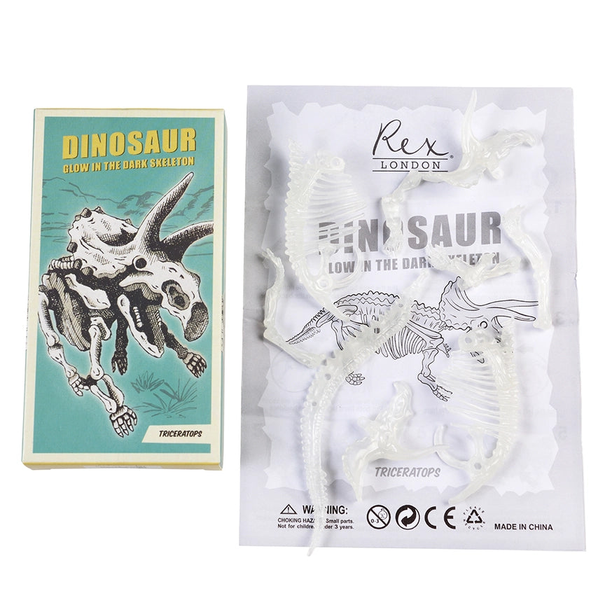 Kit de esqueleto de dinossauros (brilha no escuro)