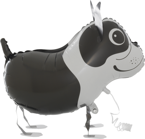 Walking Pet Balloon - Boston Terrier
