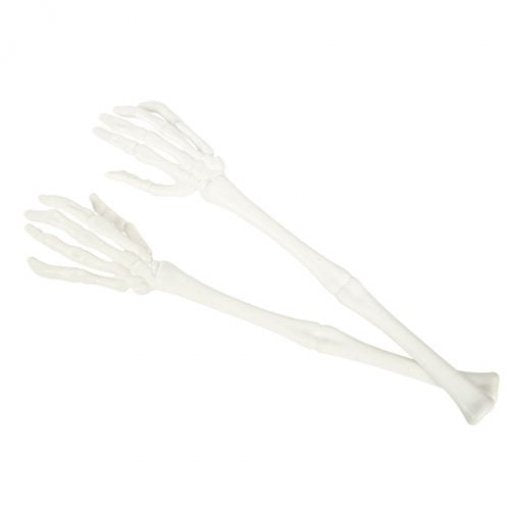 Pair of white plastic skeleton arms