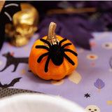 Abóbora em veludo com Aranha