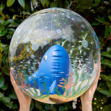 Bola de Praia Tubarão