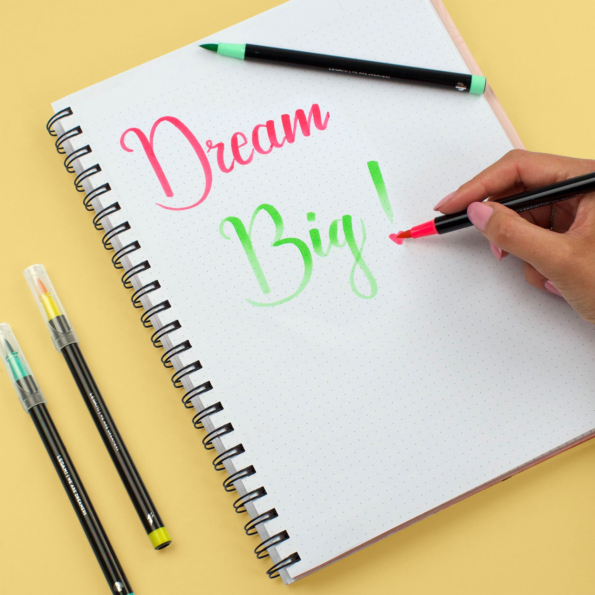 Conjunto de 12 Marcadores de Pincel