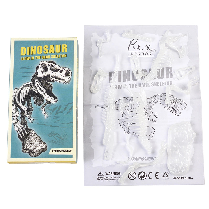 Kit de esqueleto de dinossauros (brilha no escuro)