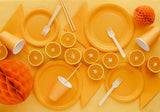 Pratos Laranja (Pequenos)