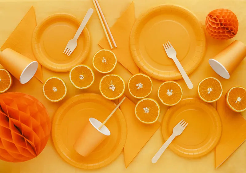 Pratos Laranja (Grandes)