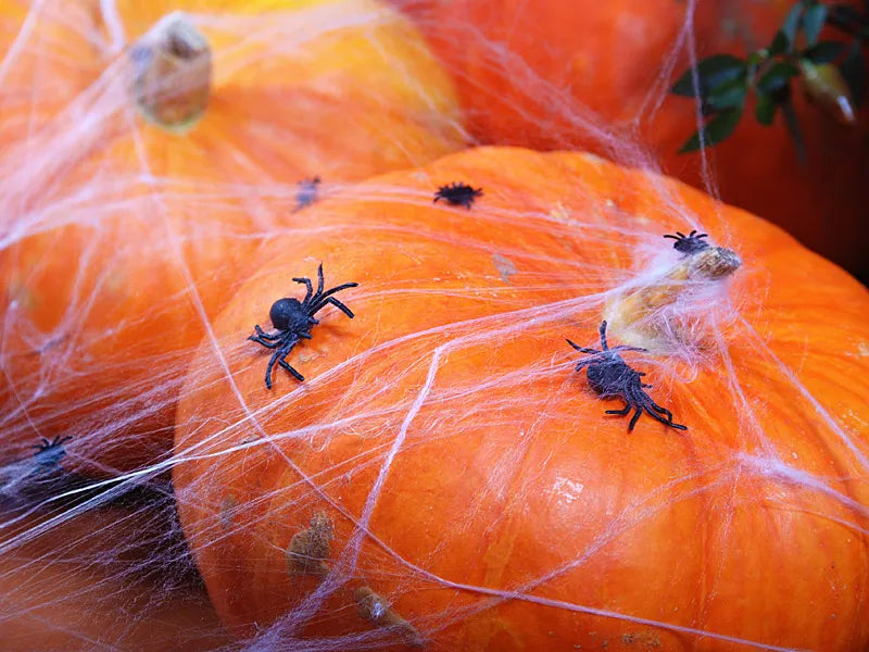 Plastic spiders