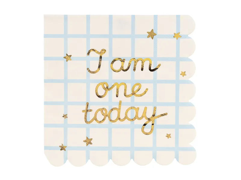 Guardanapos 'I am one today' Teddy Bear