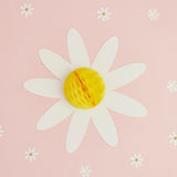 Honeycomb Margaridas